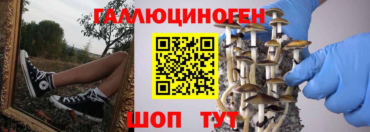 Псилоцибиновые грибы прущие грибы Ульяновск