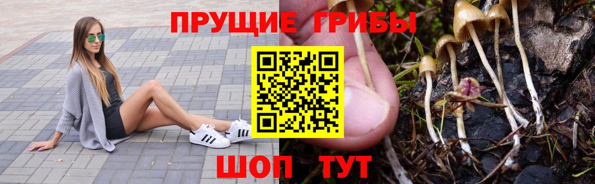 Галлюциногенные грибы мицелий  Вход с VPN  Ульяновск 
